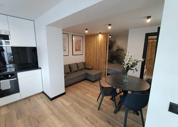 Apartamenty Premium, Faktura Vat, Klimatyzacja, Air Conditioning, Ground Floor, Parking, Parter, Cisza I Spokoj, Quiet And Pleasant, Idealny Na Odpoczynek Perfect For Rest